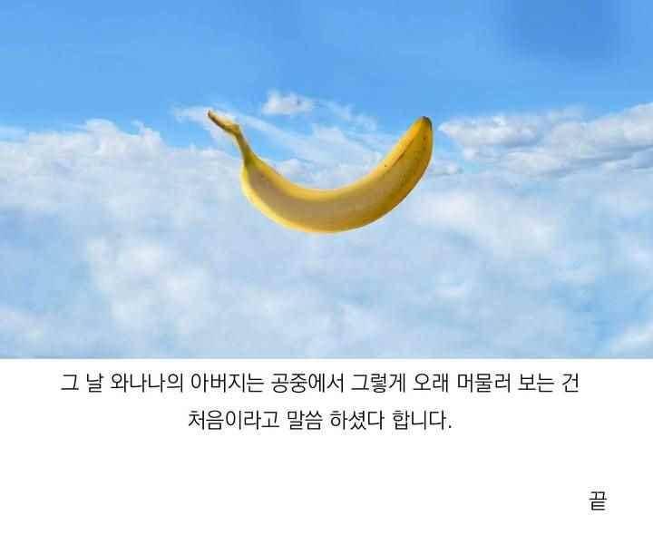 바나나툰 48화 23