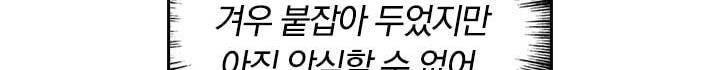 요신기 143화 550