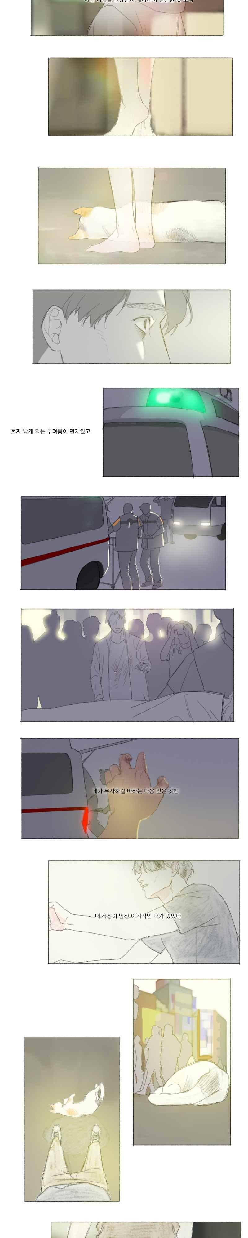고양소년의 고양한 날 37화 2