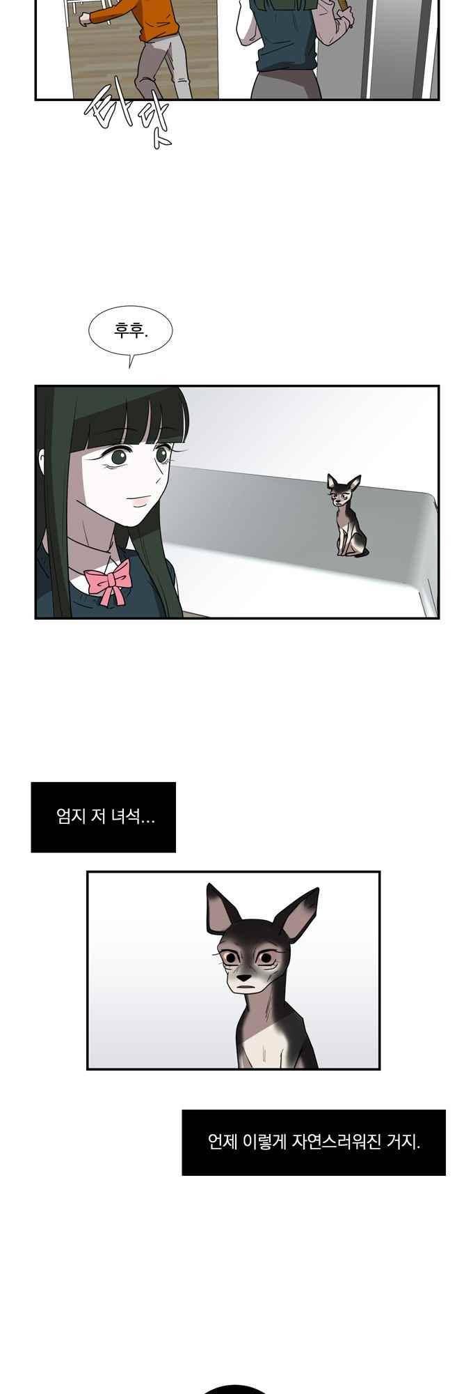 명예소녀의 추락 47화 4