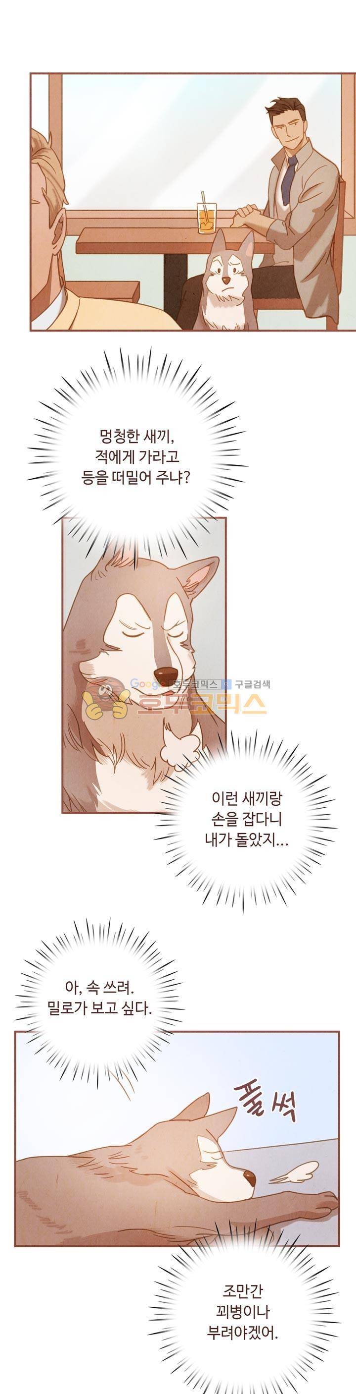개 한 마리와 두 남자 21화 1