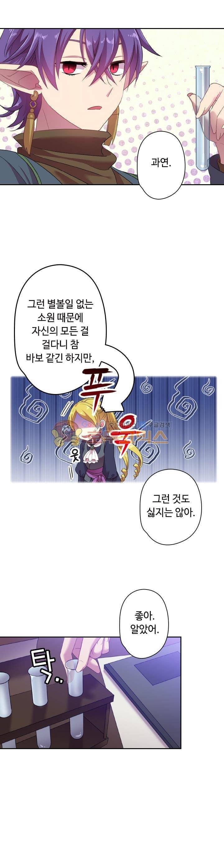 왕의 공녀 33화 9