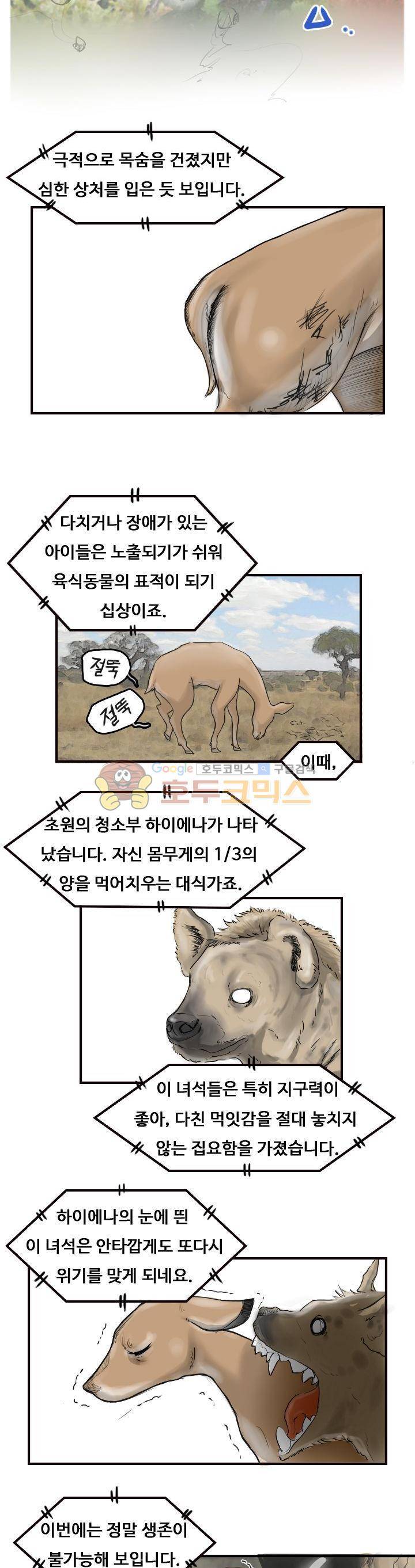 트랜스플란트 15화 2
