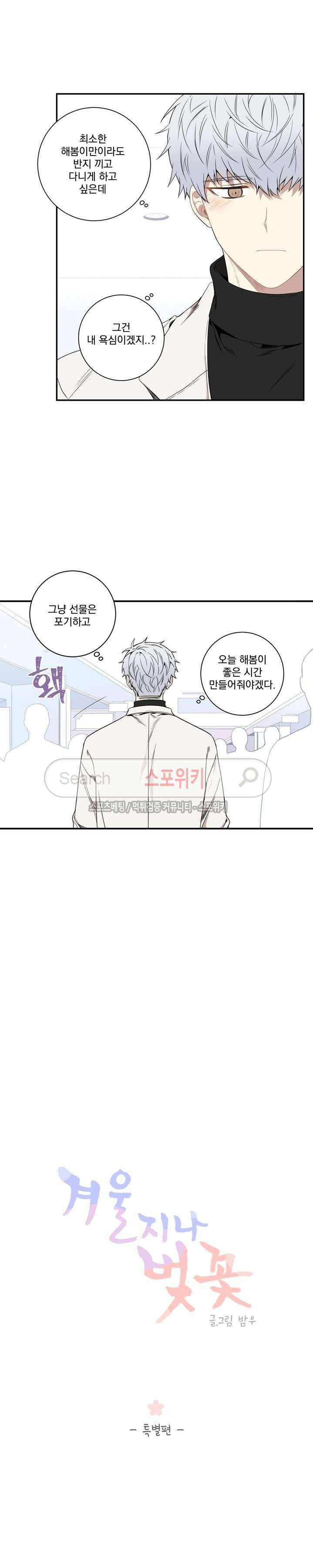 겨울 지나 벚꽃 특별편 3
