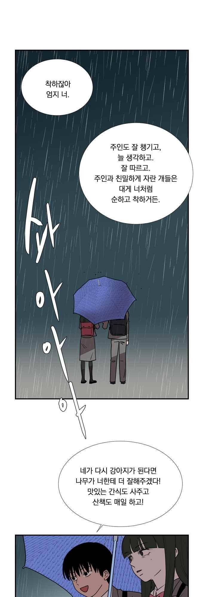 명예소녀의 추락 60화 6