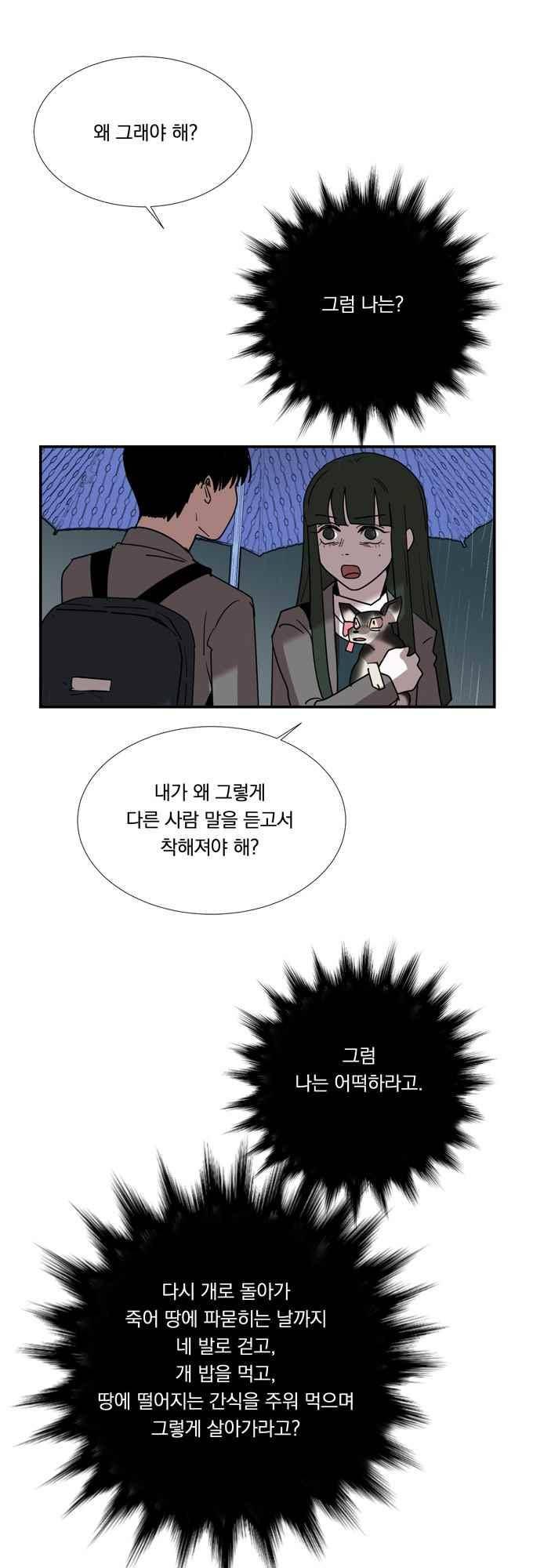 명예소녀의 추락 60화 11
