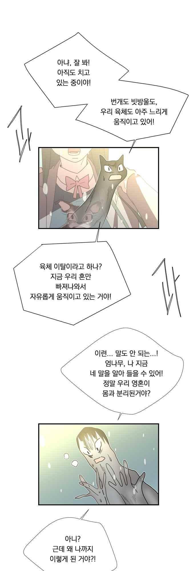 명예소녀의 추락 60화 26