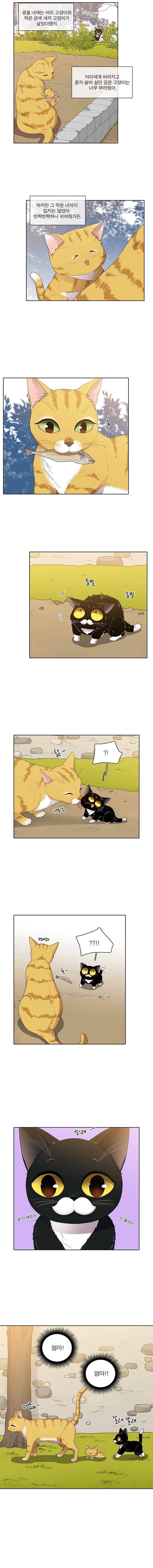 고양이 마마님 49화 2