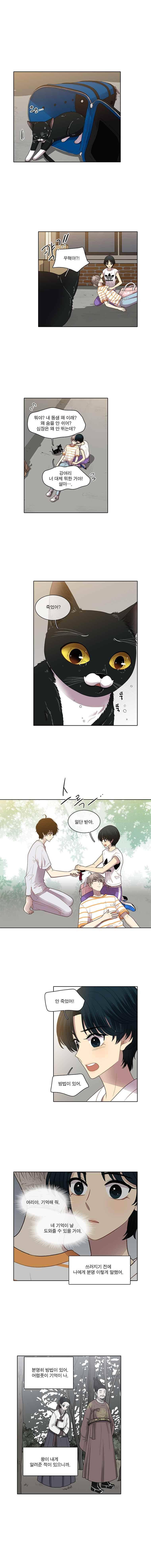 고양이 마마님 57화 1