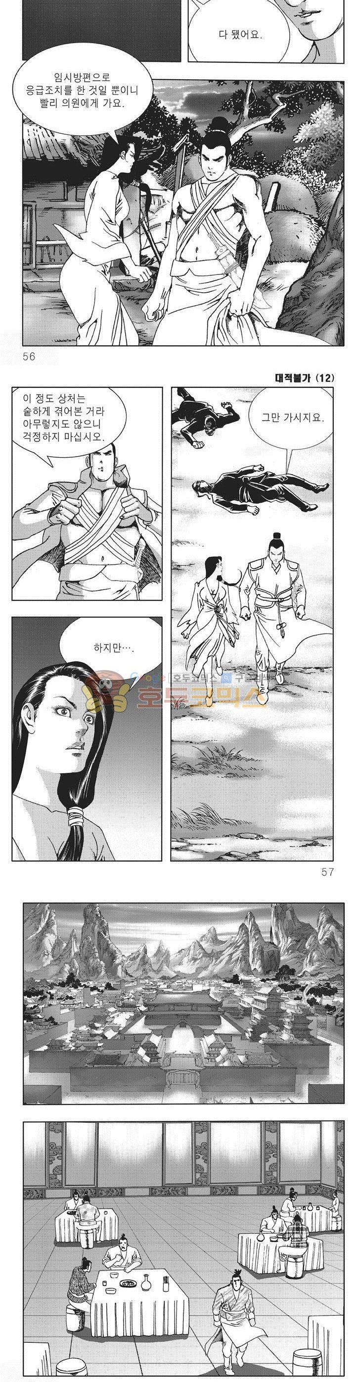 대적불가 12권 19