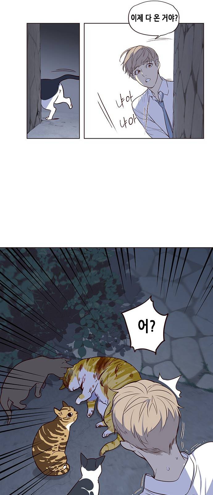 일렉시드 1화 29