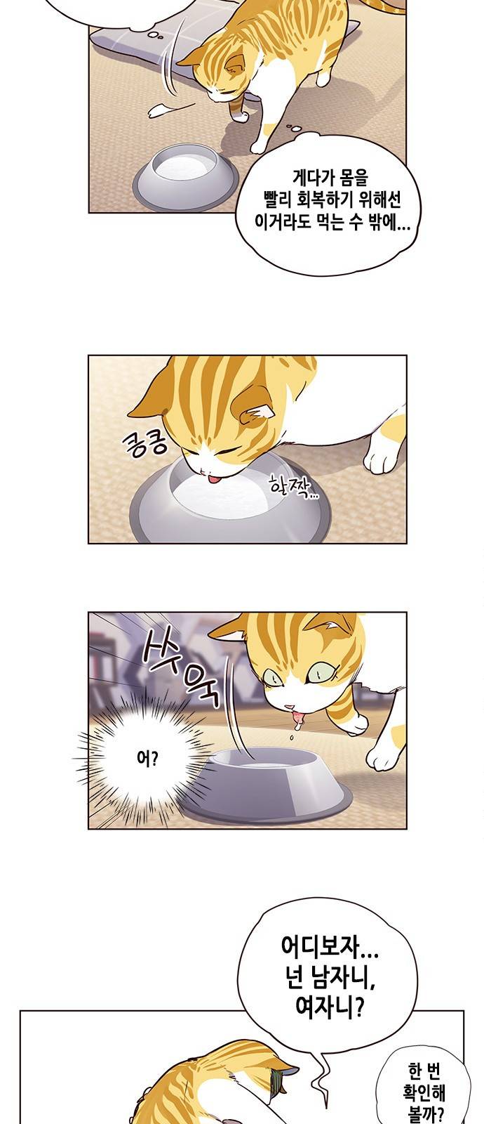 일렉시드 1화 44