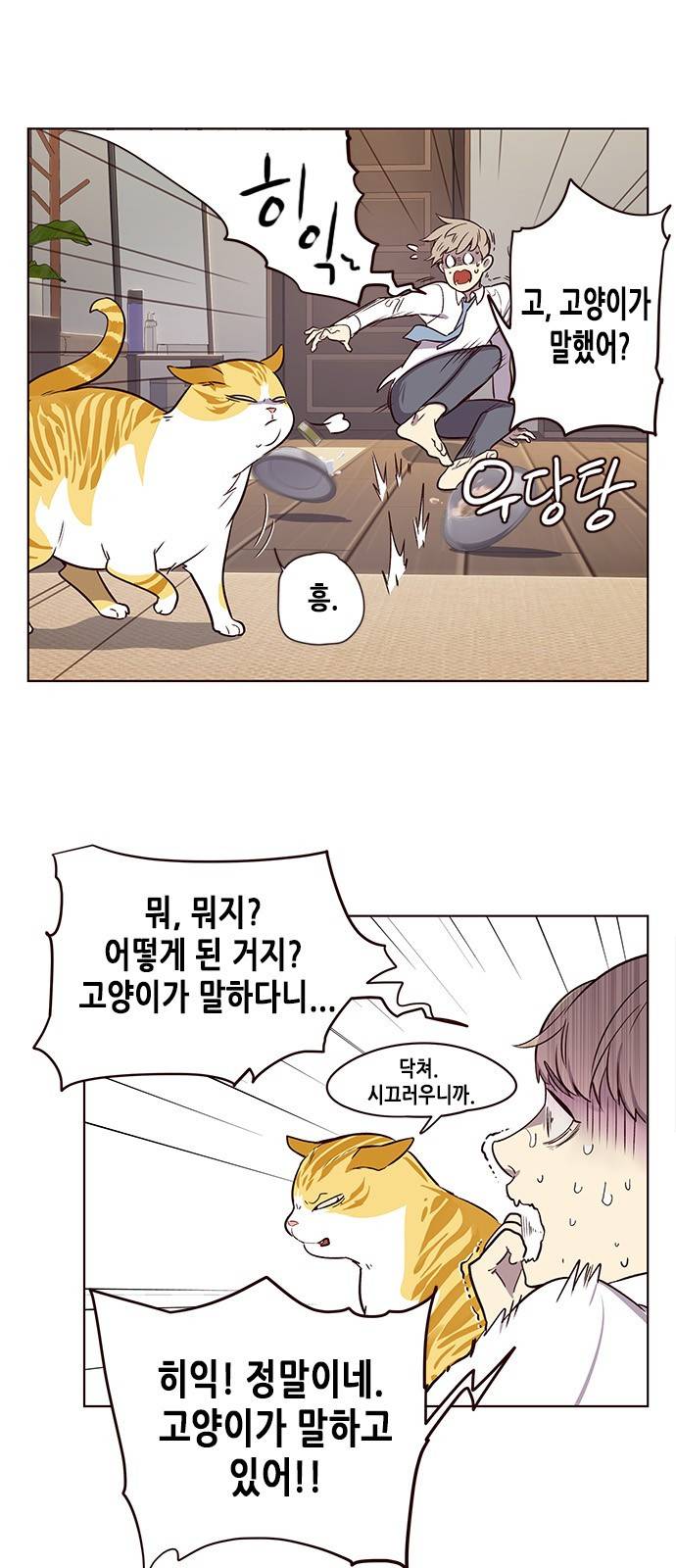 일렉시드 1화 48