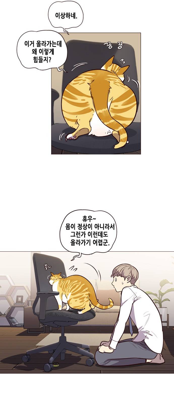 일렉시드 1화 54
