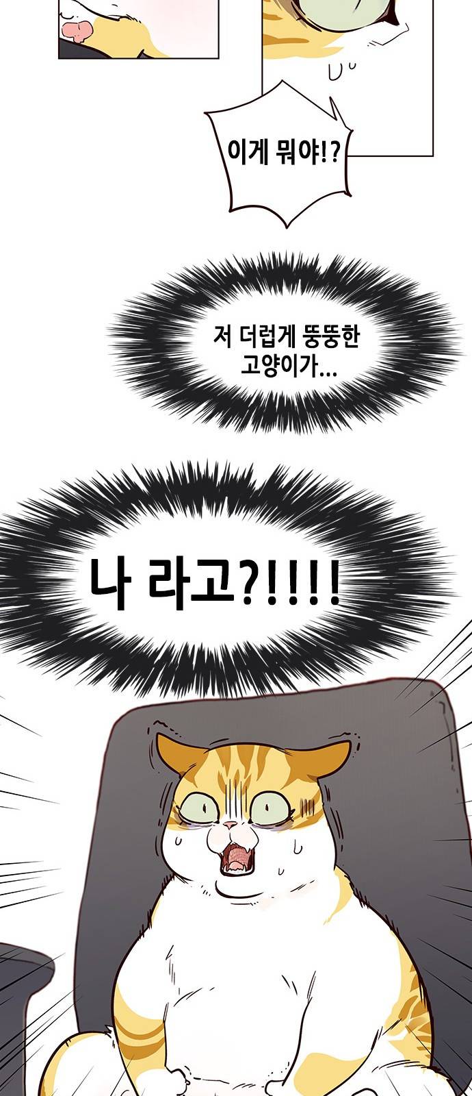 일렉시드 1화 58