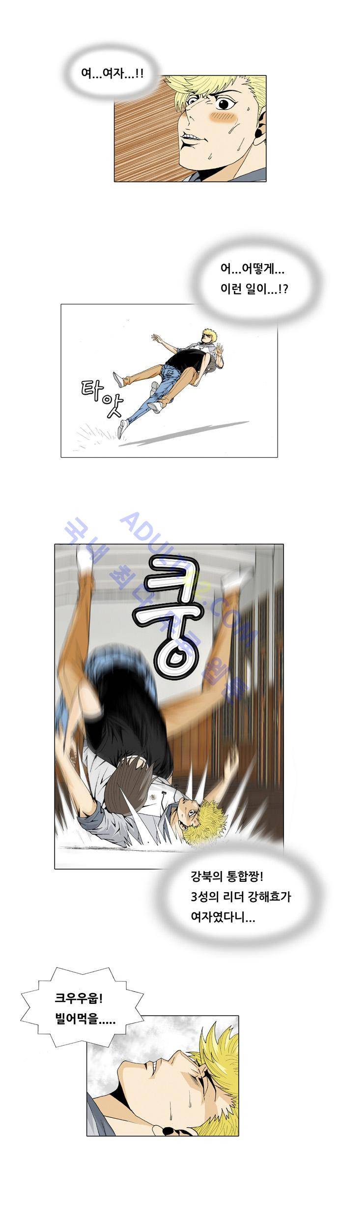 최강전설 강해효 (30) 17