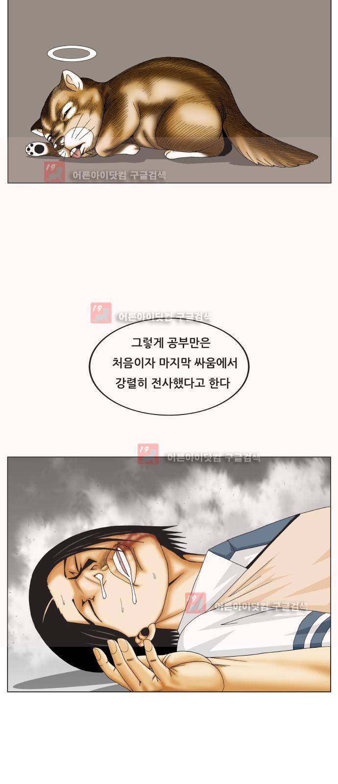 최강전설 강해효 (217) 27