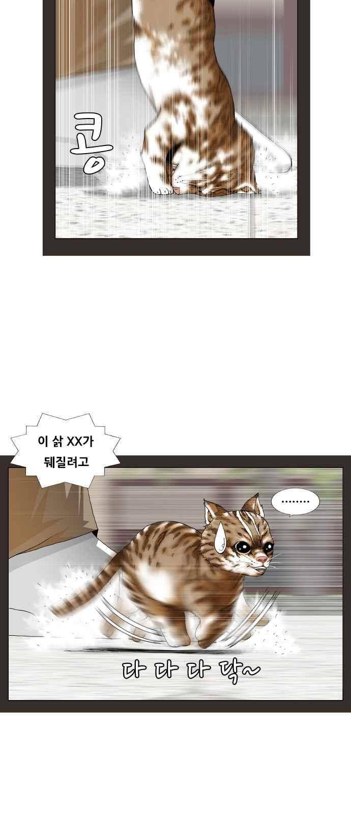 최강전설 강해효 (253) 6