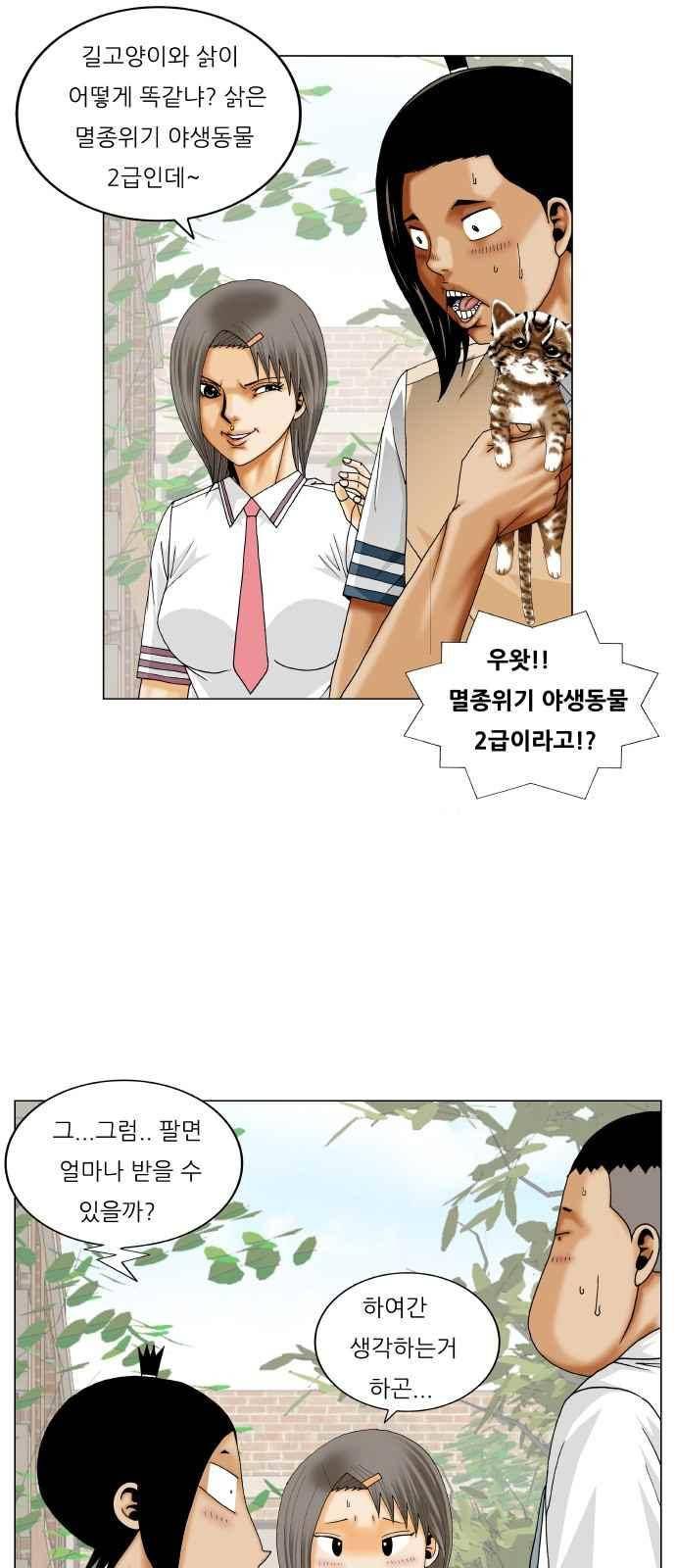 최강전설 강해효 (253) 13