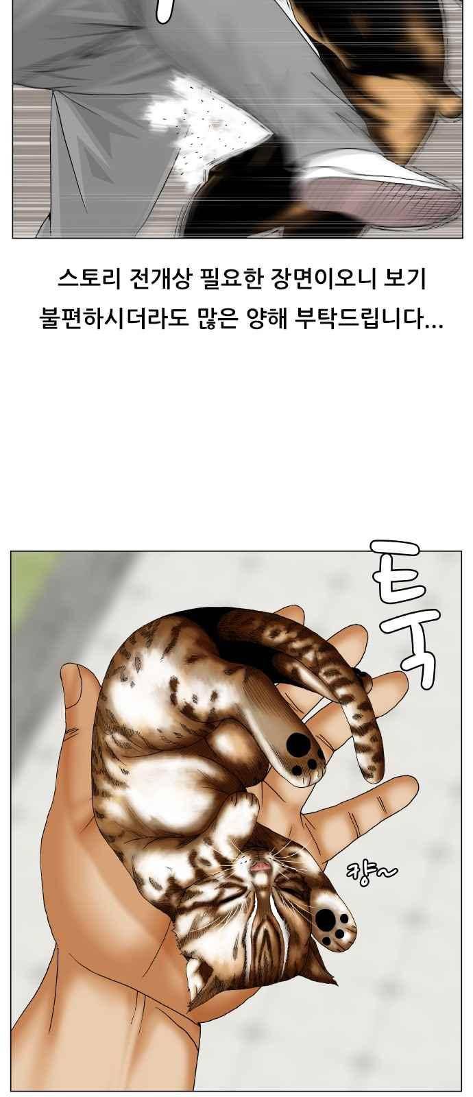 최강전설 강해효 (253) 19