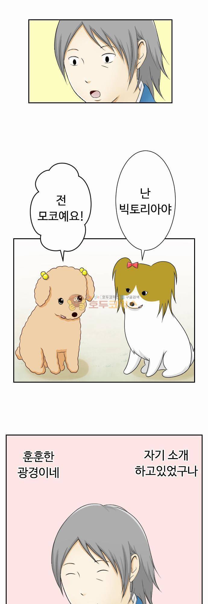 화이트 포메 74화 - 속마음 2