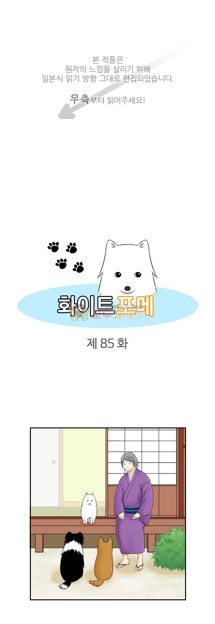 화이트 포메 85화 - 감각 1