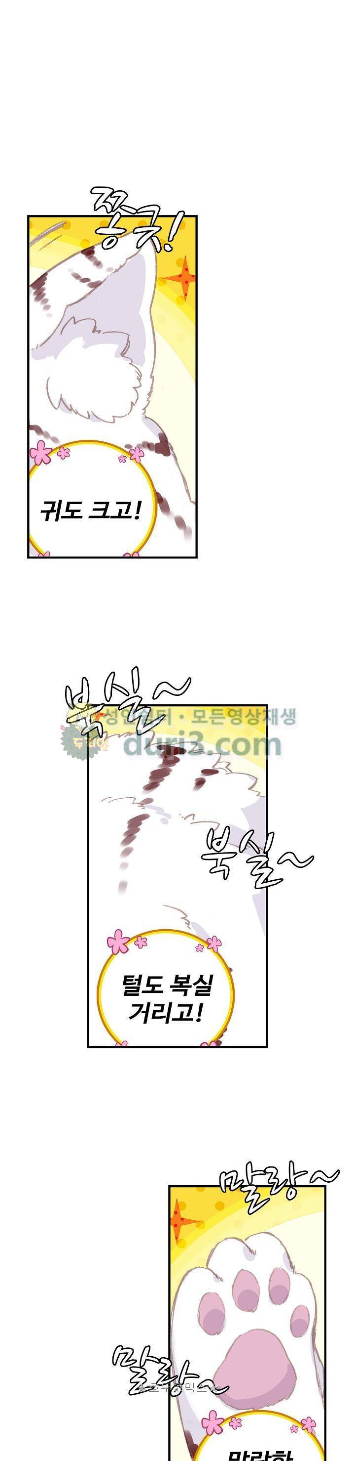 대귀갑사 47화 5
