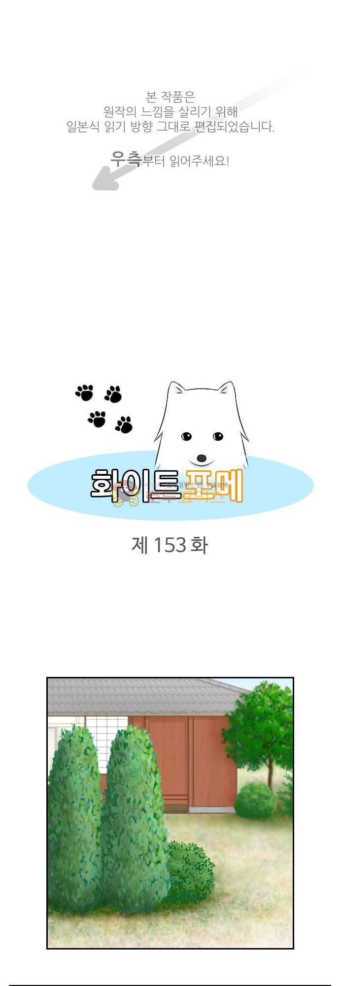화이트 포메 153화 - 보이지 않아 1