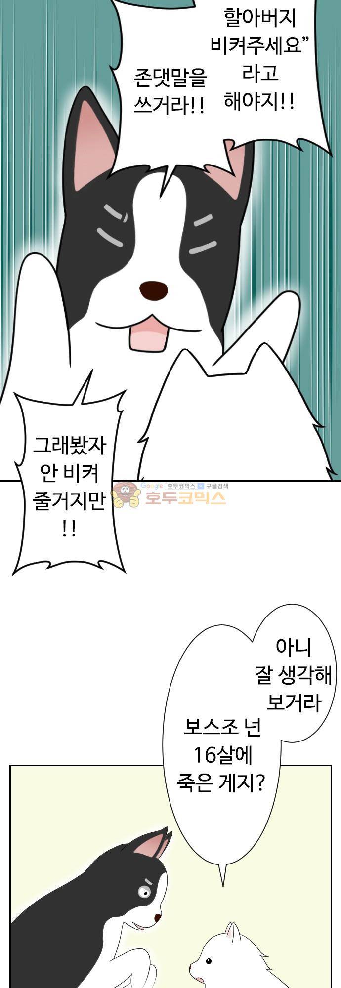 화이트 포메 153화 - 보이지 않아 4