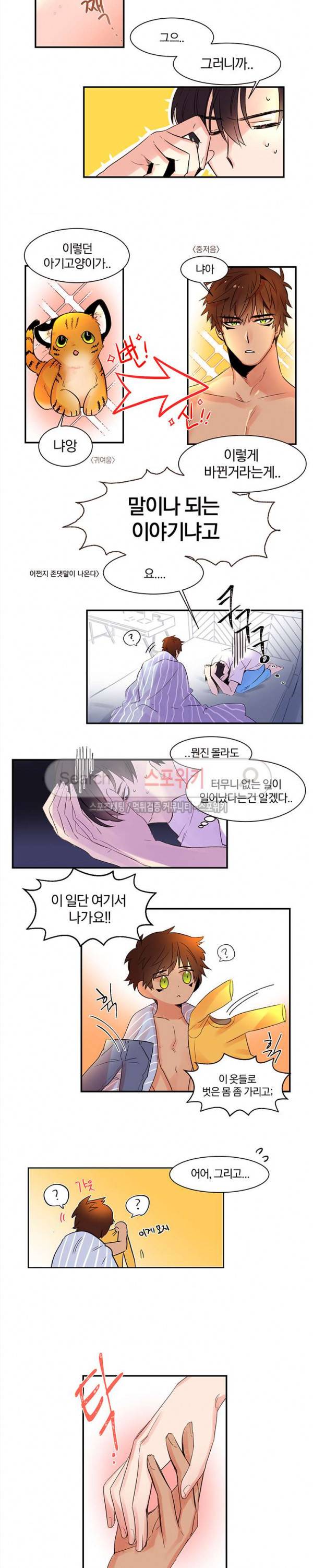 골판지 상자 안 고양이씨 2화 2
