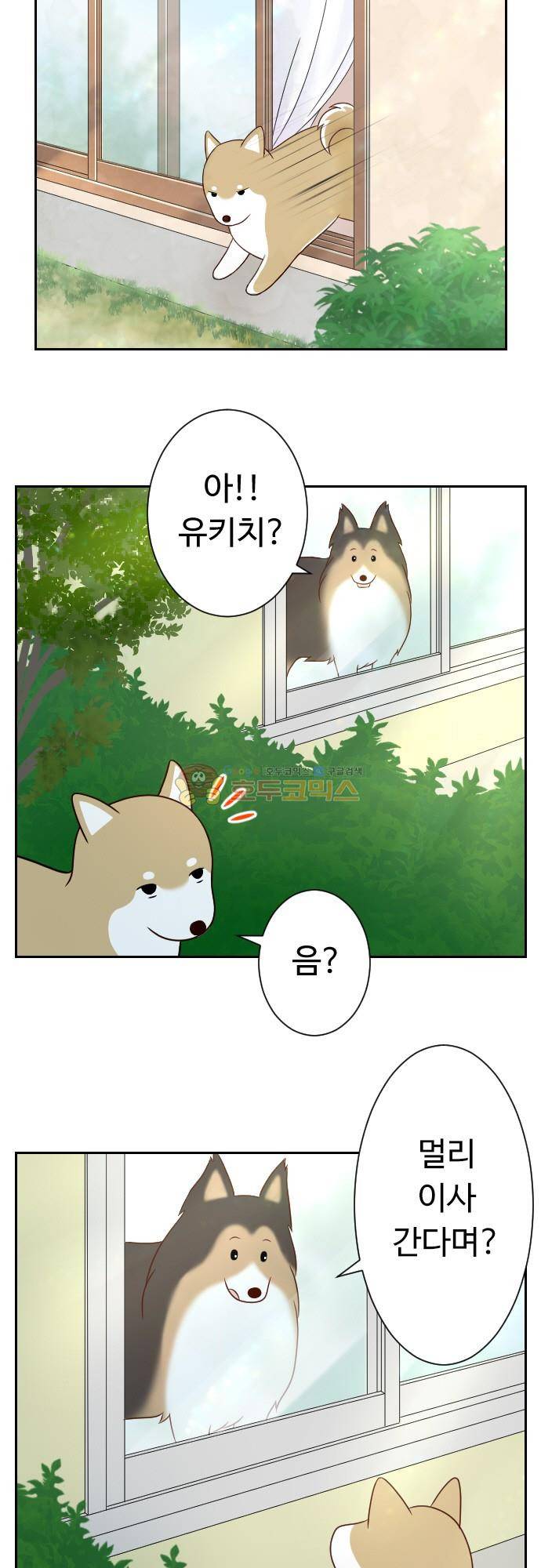 화이트 포메 171화 2