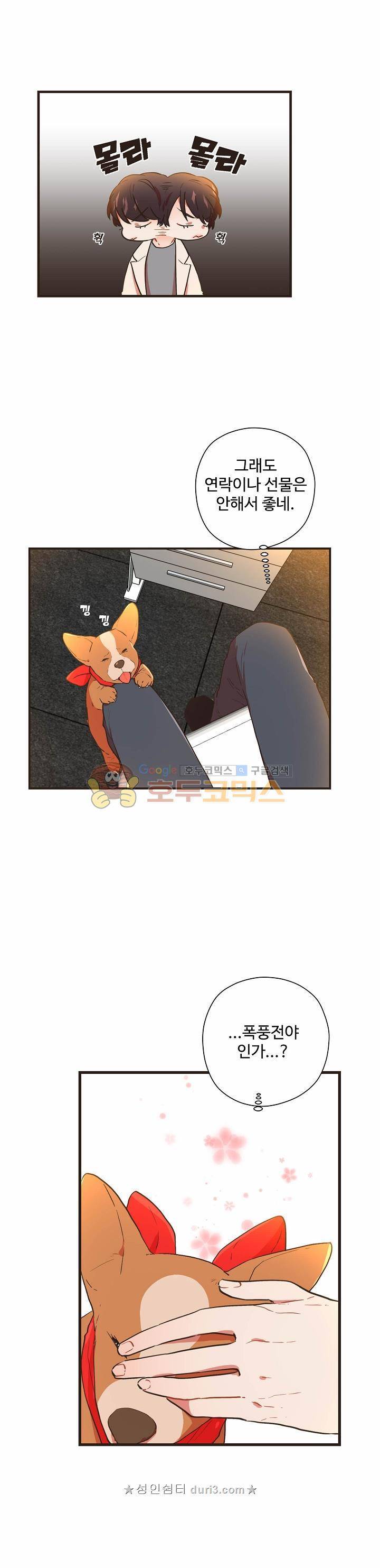 멍멍냥냥 56화 4