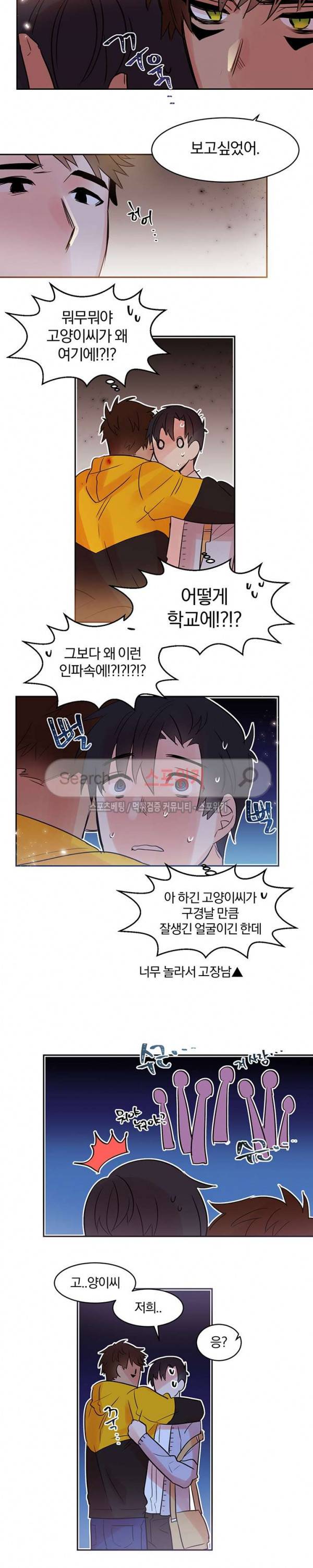 골판지 상자 안 고양이씨 13화 9