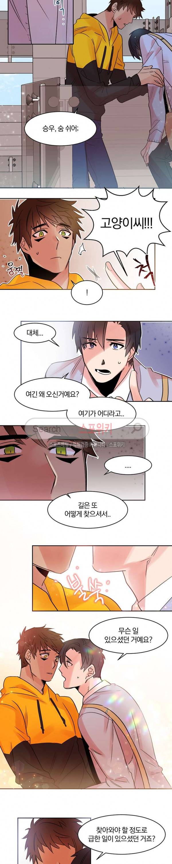 골판지 상자 안 고양이씨 13화 11