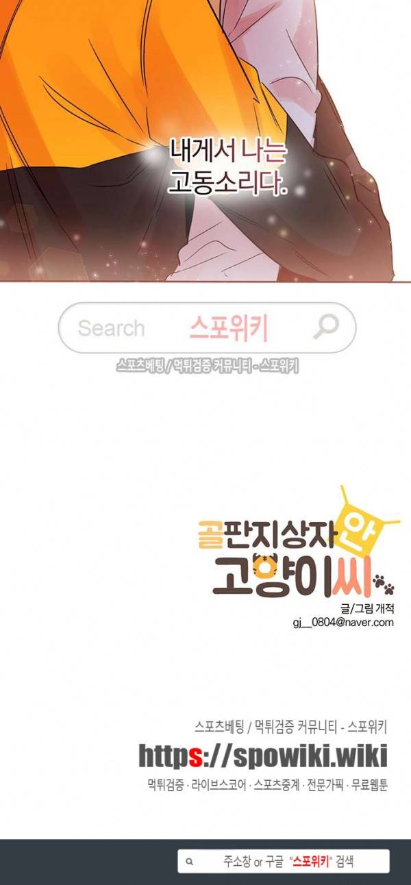 골판지 상자 안 고양이씨 13화 15