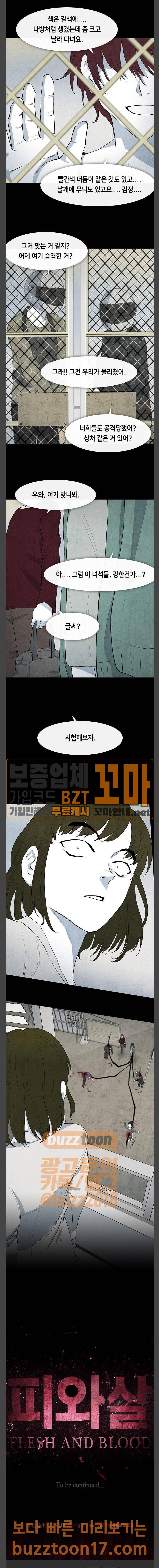 피와 살 15 요한의 원 9 13