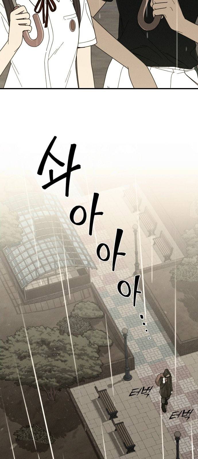 텃밭부 사건일지 8화 핏방울 같은 토마토가 뚝뚝 3 9