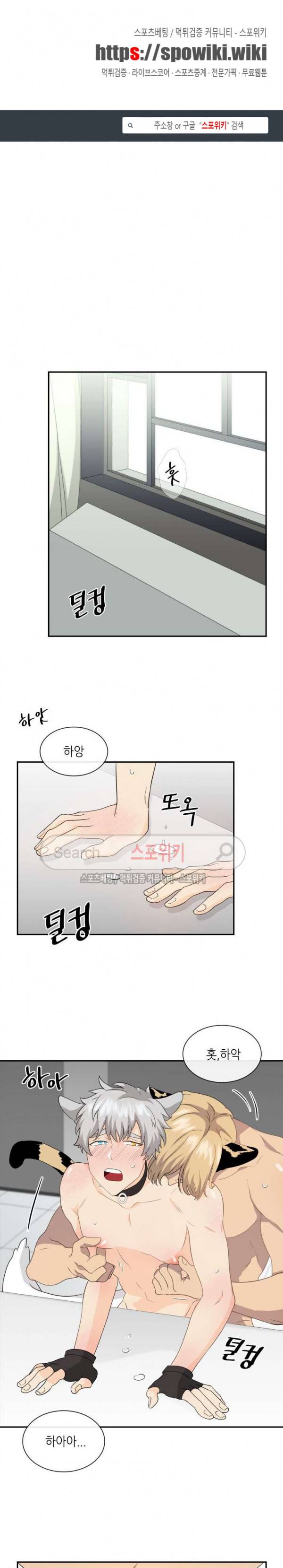 동물의 왕국 시즌2 17화 1