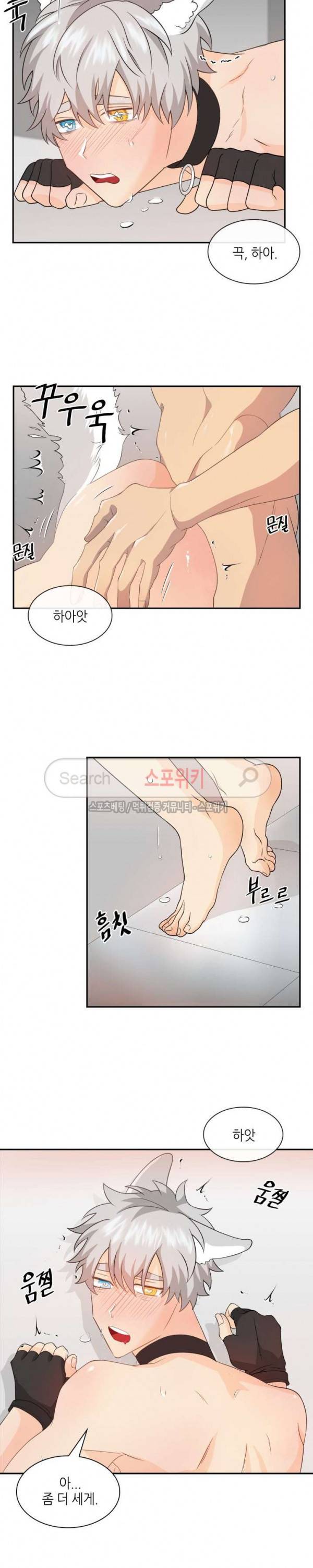 동물의 왕국 시즌2 17화 3