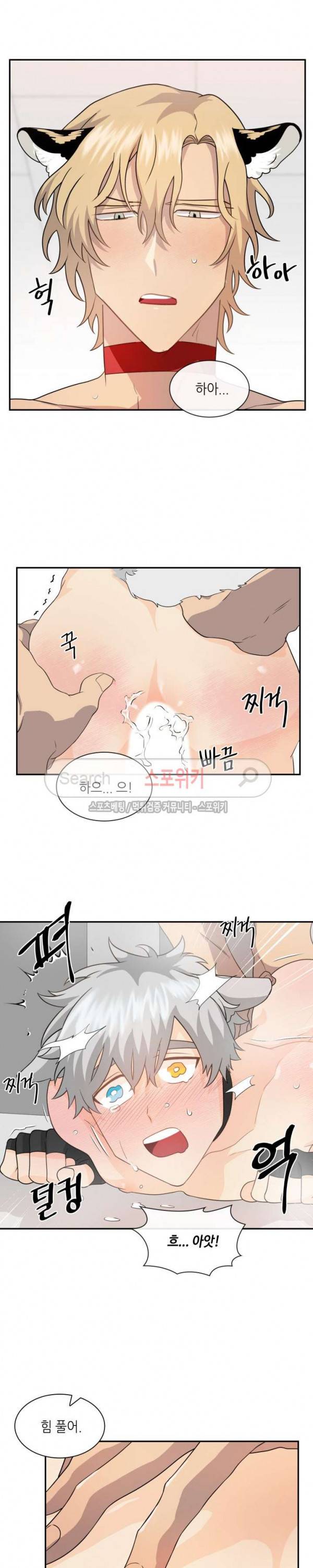 동물의 왕국 시즌2 17화 4