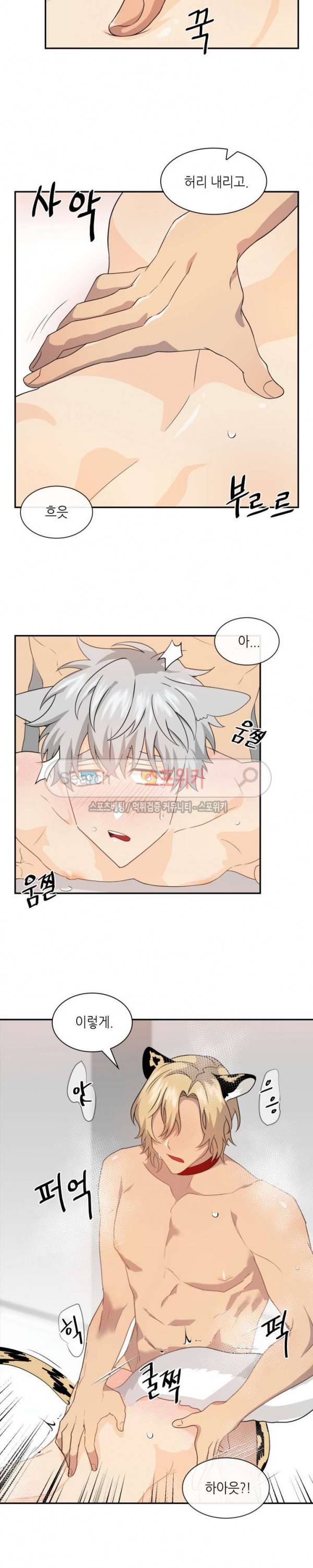 동물의 왕국 시즌2 17화 5