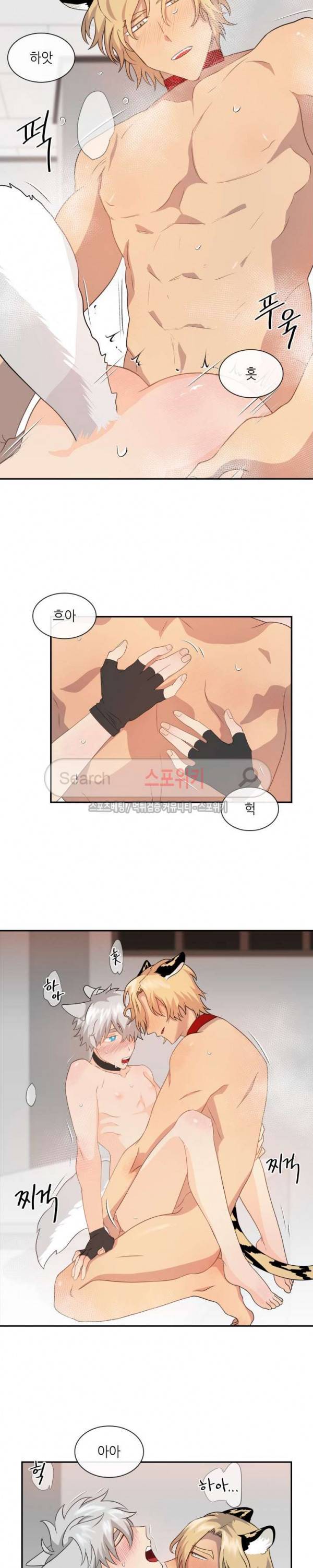 동물의 왕국 시즌2 17화 7