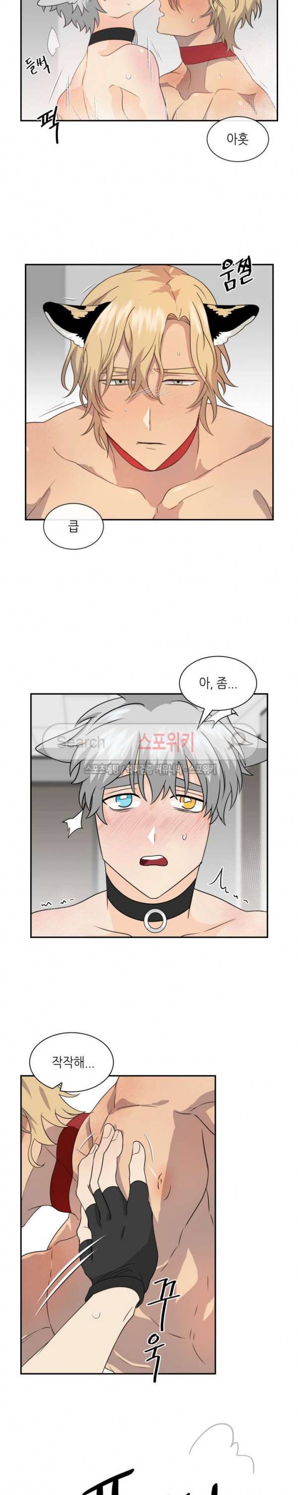 동물의 왕국 시즌2 17화 8