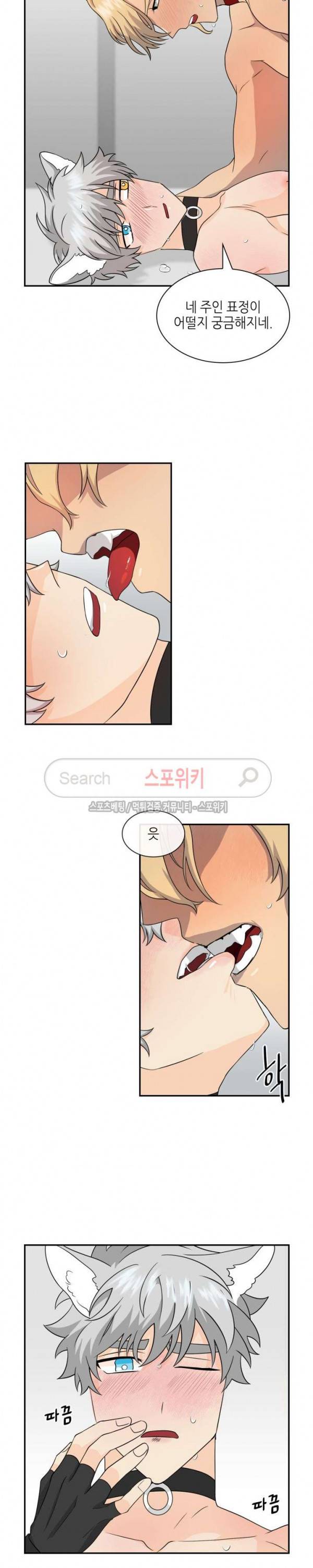동물의 왕국 시즌2 17화 10