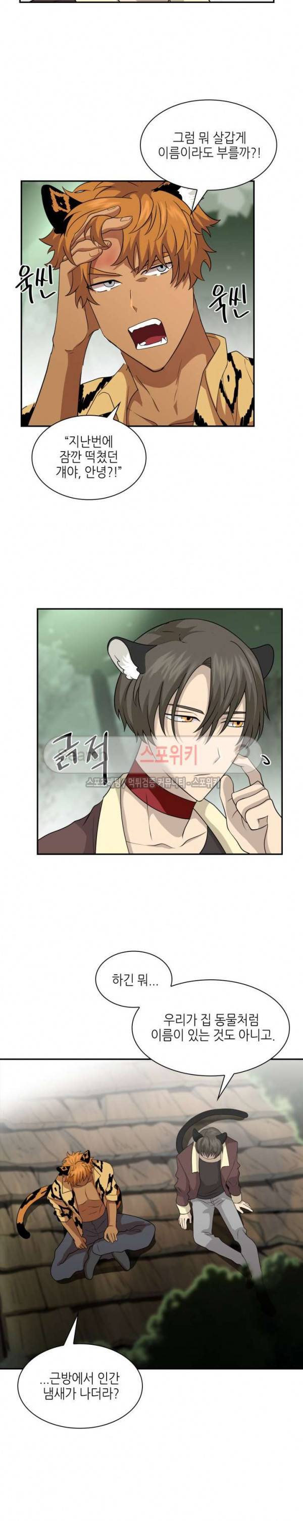 동물의 왕국 시즌2 17화 17