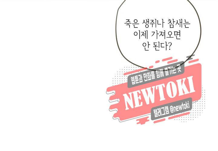 만지지 마! 15화 41