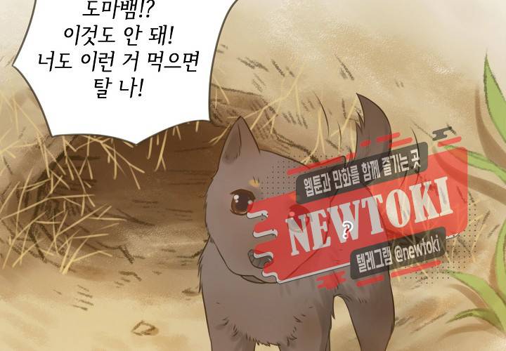 만지지 마! 15화 43