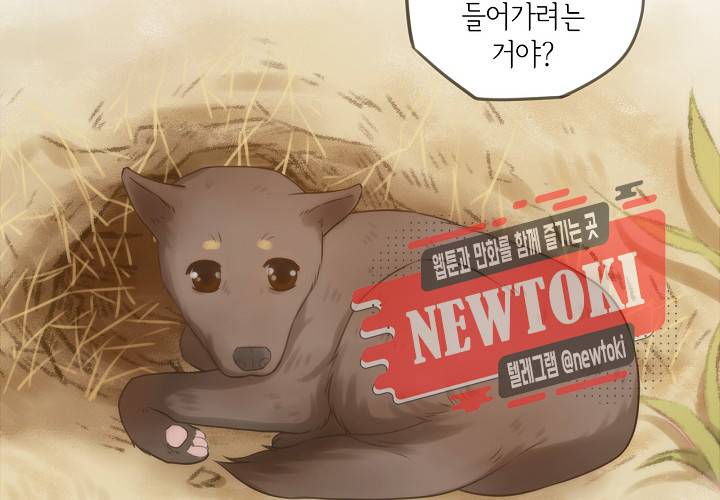 만지지 마! 15화 48