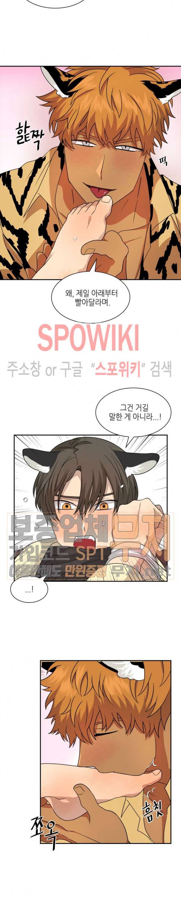 동물의 왕국 시즌2 18화 17