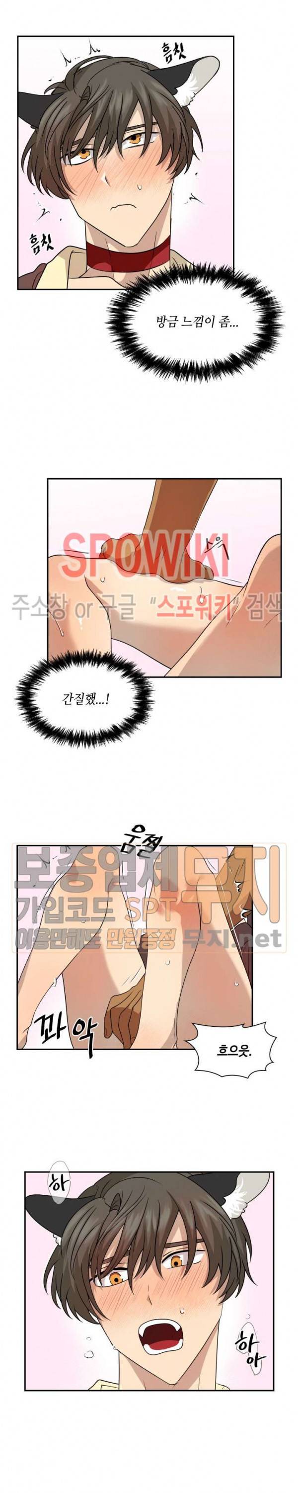 동물의 왕국 시즌2 18화 18